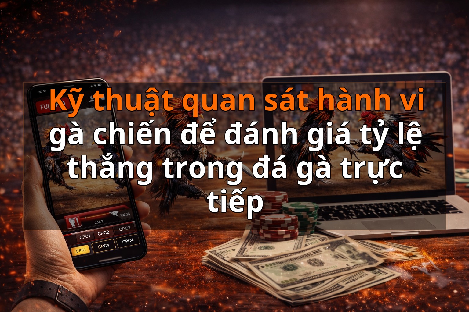 Kỹ thuật quan sát hành vi gà chiến để đánh giá tỷ lệ thắng trong đá gà trực tiếp