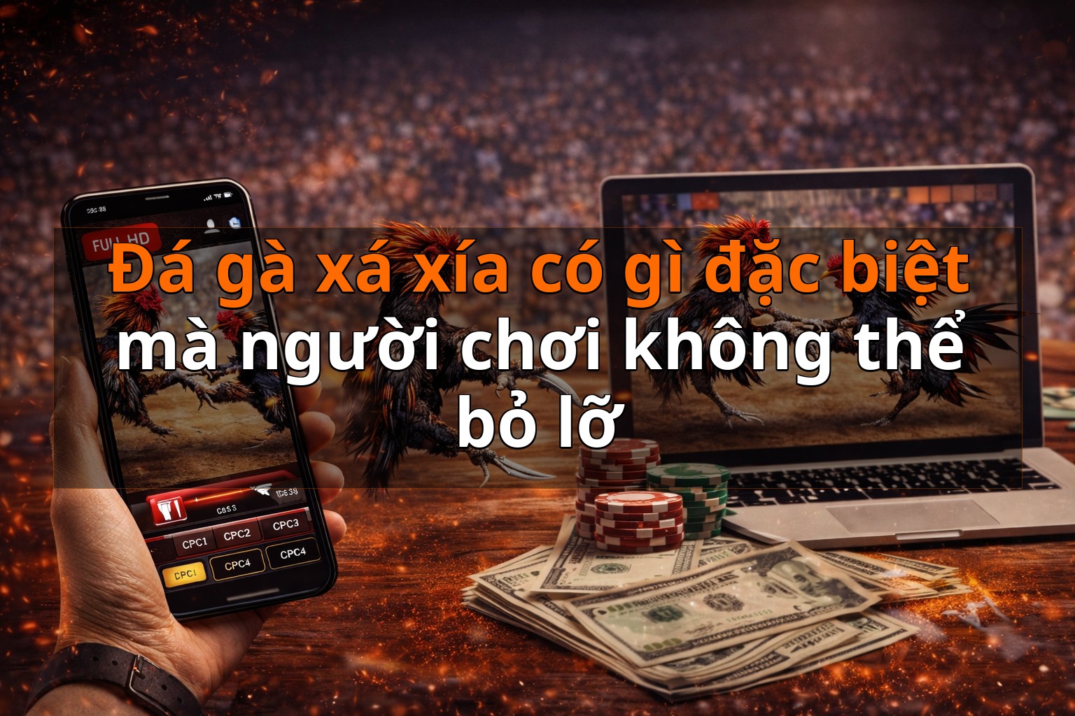 Đá gà xá xía có gì đặc biệt mà người chơi không thể bỏ lỡ